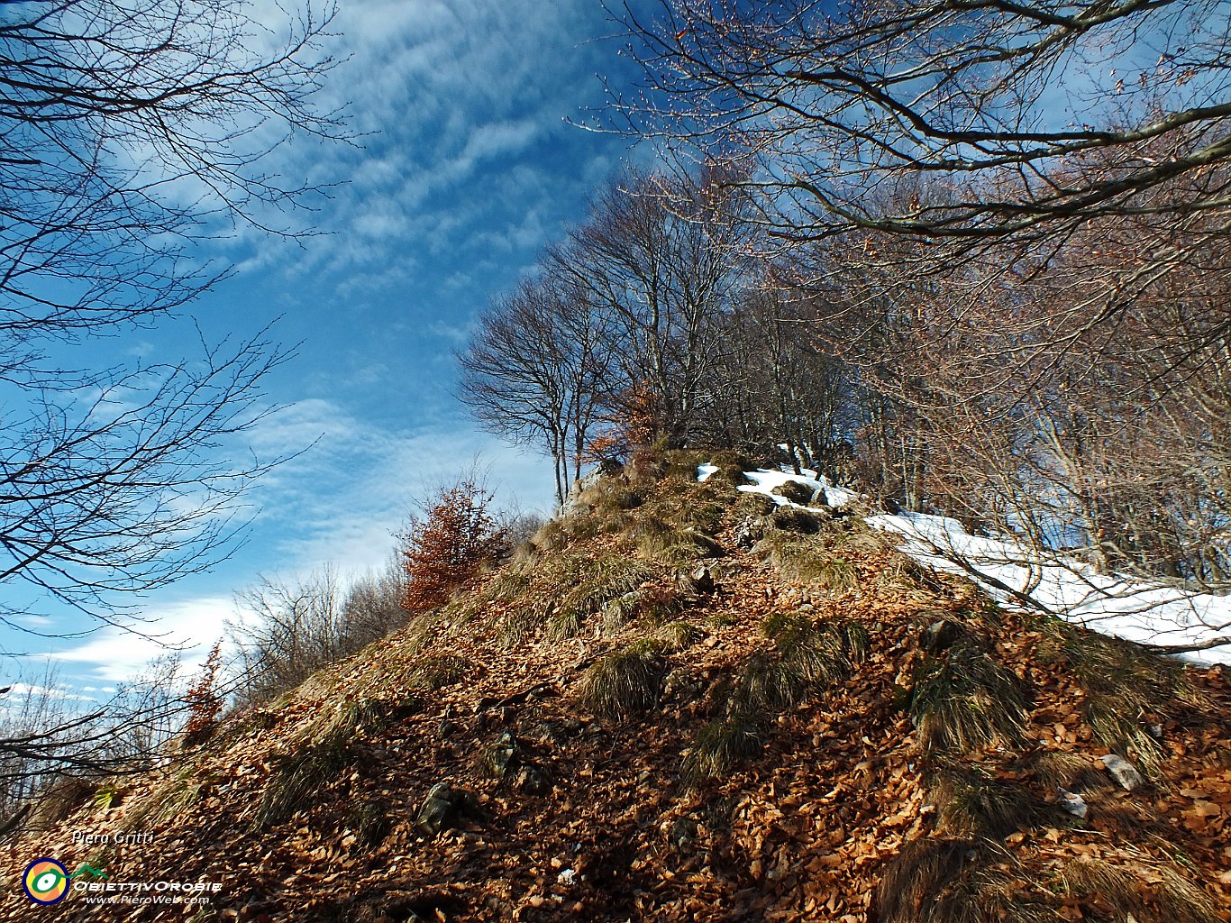 30 Il sole ha sciolto la neve....JPG